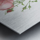 Blooming pink rosebush Metal print