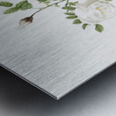 Hispid rose in bloom Metal print