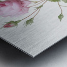 Pink provence rose Metal print