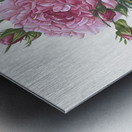 Vintage cabbage rose poster Metal print