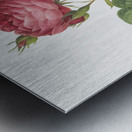 Red gallic rose Metal print