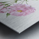 White climbing rose Metal print