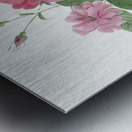 Blooming hudson rose Metal print