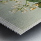 Sarah Featon 035 Metal print