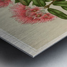 Sarah Featon 028 Metal print