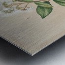 Sarah Featon 015 Metal print