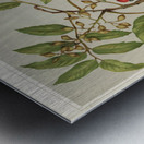 Sarah Featon 034 Metal print