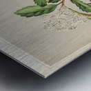 Sarah Featon 019 Metal print