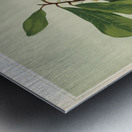 Sarah Featon 013 Metal print