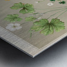 Sarah Featon 004 Metal print