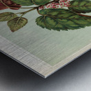 Sarah Featon 025 Metal print