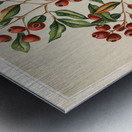 Sarah Featon 024 Metal print