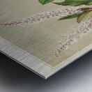 Sarah Featon 008 Metal print