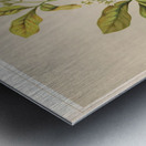 Sarah Featon 006 Metal print