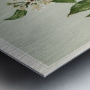 Sarah Featon 018 Metal print