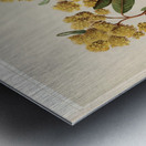 Sarah Featon 023 Metal print