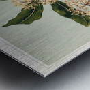 Sarah Featon 030 Metal print