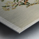 Sarah Featon 012 Metal print