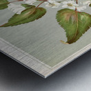 Sarah Featon 016 Metal print