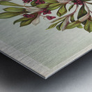 Sarah Featon 010 Metal print