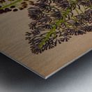 Album van Eeden : Haarlems flora : 1872-1881 Metal print