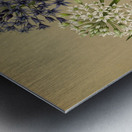 Album van Eeden : Haarlems flora : 1872-1881 Metal print