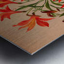 Album van Eeden : Haarlems flora : 1872-1881 Metal print