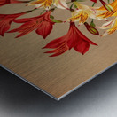 Album van Eeden : Haarlems flora : 1872-1881 Metal print