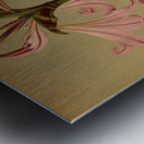 Album van Eeden : Haarlems flora : 1872-1881 Metal print