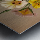 Album van Eeden : Haarlems flora : 1872-1881 Metal print