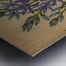 Album van Eeden : Haarlems flora : 1872-1881 Metal print