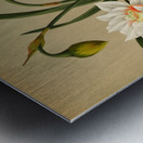 Album van Eeden : Haarlems flora : 1872-1881 Impression metal