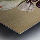 Album van Eeden : Haarlems flora : 1872-1881 Metal print