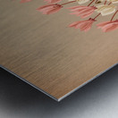 Album van Eeden : Haarlems flora : 1872-1881 Metal print