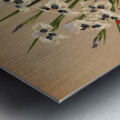 Album van Eeden : Haarlems flora : 1872-1881 Metal print