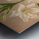 Album van Eeden : Haarlems flora : 1872-1881 Metal print