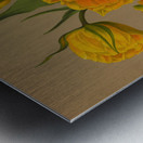 Album van Eeden : Haarlems flora : 1872-1881 Metal print