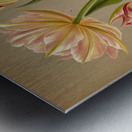 Album van Eeden : Haarlems flora : 1872-1881 Metal print