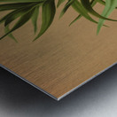 Album van Eeden : Haarlems flora : 1872-1881 Metal print