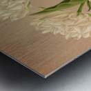 Album van Eeden : Haarlems flora : 1872-1881 Metal print