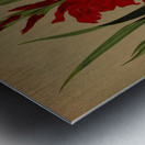 Album van Eeden : Haarlems flora : 1872-1881 Metal print