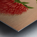 Album van Eeden : Haarlems flora : 1872-1881 Metal print