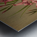 Album van Eeden : Haarlems flora : 1872-1881 Metal print