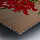 Album van Eeden : Haarlems flora : 1872-1881 Metal print