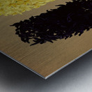 Album van Eeden : Haarlems flora : 1872-1881 Metal print