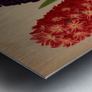 Album van Eeden : Haarlems flora : 1872-1881 Metal print