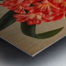 Album van Eeden : Haarlems flora : 1872-1881 Metal print