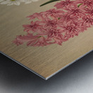 Album van Eeden : Haarlems flora : 1872-1881 Metal print