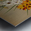 Album van Eeden : Haarlems flora : 1872-1881 Metal print