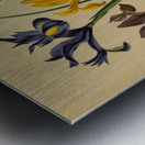 Album van Eeden : Haarlems flora : 1872-1881 Metal print